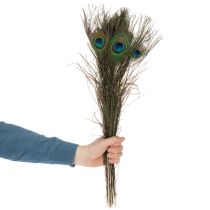 Product Peacock feathers, real bird feathers for crafting and decorating, 55cm, 10 pieces