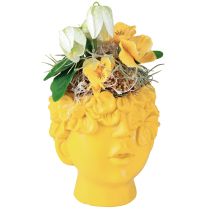 Product Plant head bust polyresin planter yellow 13.5×13×14cm
