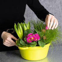 Product Sheet metal planter, spring decoration for the living room, 25cm, 3 pieces