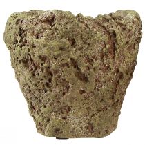 Product Plant pot rustic forest look planter Ø12.5cm H12cm 2pcs