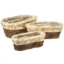 Product Plant tub wood natural 3-coloured L29.5/25/23cm set of 3