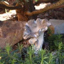 Product Mushroom decoration cast stone figure garden decoration gray 18×16×25cm