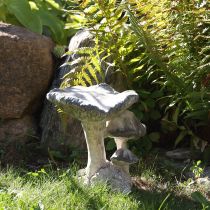 Product Mushroom decoration cast stone gray white washed 21.5×18×22cm