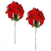Product Magnificent Christmas Star - Poinsettia in Red – 46 cm 6pcs 2 bunch