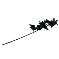 Product Orchid to decorate Black 54cm