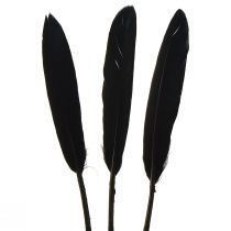 Product Black feathers decoration goose feathers black 11-14cm 180 pcs
