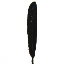 Product Black feathers decoration goose feathers black 11-14cm 180 pcs
