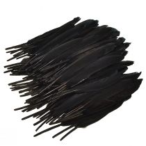 Product Black feathers decoration goose feathers black 11-14cm 180 pcs