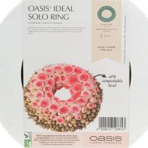 Product OASIS® Floral Foam Wreath Ring Green H3cm Ø25cm 6 pcs