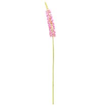 Product Steppe candle Desert Tail Pink 106cm