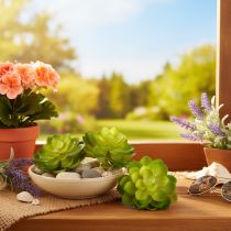 Product Artificial succulent plant, green, for decoration in a bowl or vase, 10cm, 4 pieces