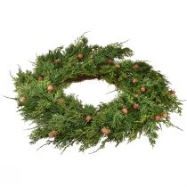 Product Fir wreath Thuja with buds base vine wreath Ø50cm