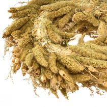 Product Decorative dried wreath with teasels and millet in yellow-olive green, natural country style, Ø28cm, versatile wall and table decoration