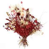 Product Dried flower bouquet Boho style Strawberry thistle &amp; Cornflower in bleached red, lifelike 150g
