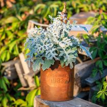 Product Planter patina Deko Metal With Tap H25/37/43cm Set of 3 pcs