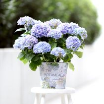 Product Planter metal flowerpot hydrangea Ø24cm H21cm