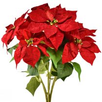Product Christmas Star Artificial Poinsettia Red Green L57cm