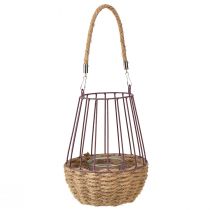 Product Lantern with handle and glass purple natural Ø18cm H22cm