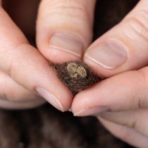 Product Fluffy Mirabell wool cord, brown, 25m decorative ribbon for floristry and crafts