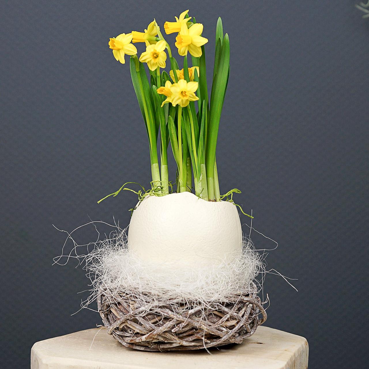 Easter nest made of twigs nature, washed white Ø13cm 3pcs