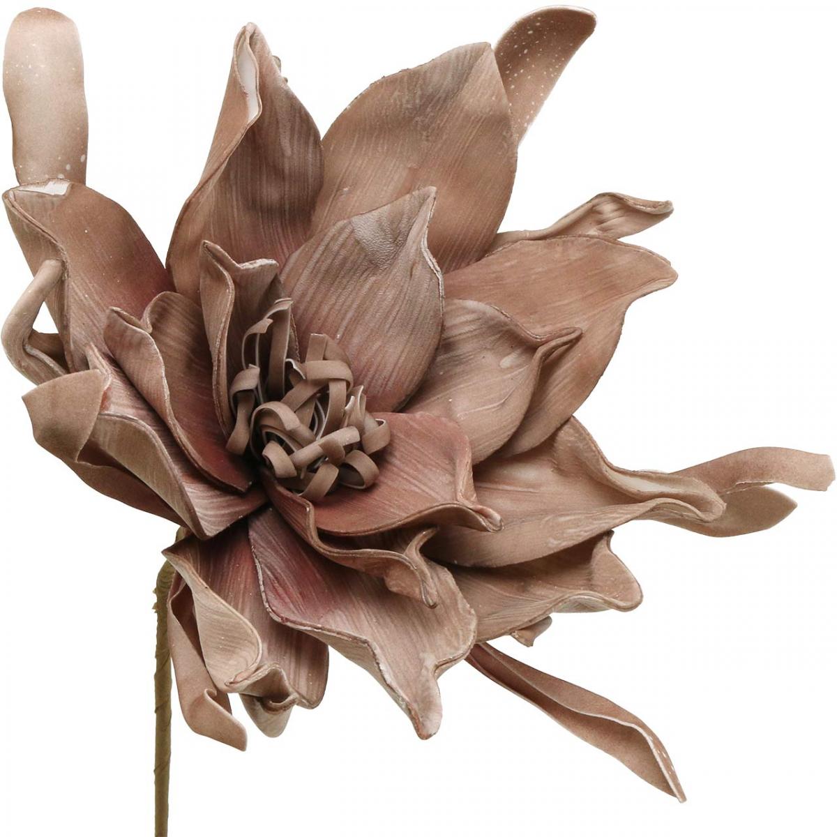 Floristik24.ie Deco lotus flower artificial lotus flower artificial flower brown L68cm