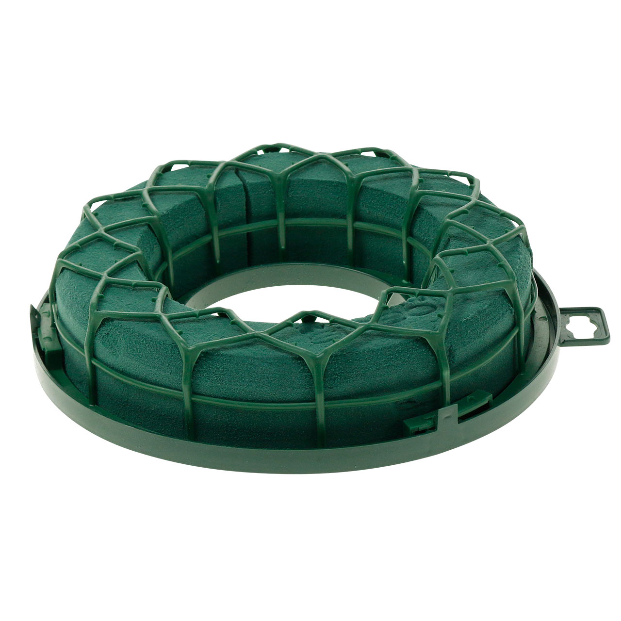 Floristik24.ie OASIS® IDEAL universal ring floral foam wreath green