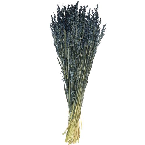 Floristik24 Dried flowers, oats dried grain decoration blue 68cm 230g