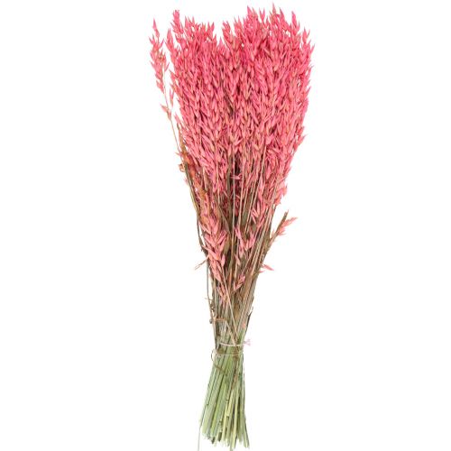 Floristik24 Dried flowers, oats dried grain decorative pink 65cm 160g