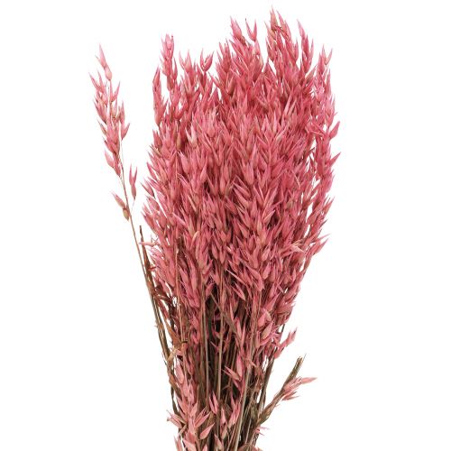 Floristik24 Dried flowers, oats dried grain decorative pink 65cm 160g