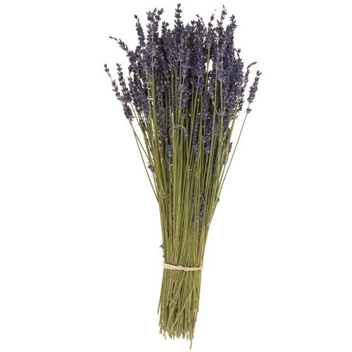 Floristik24 Dried Lavender Bunch, Dried Flower Lavender Blue 38–40cm 90g