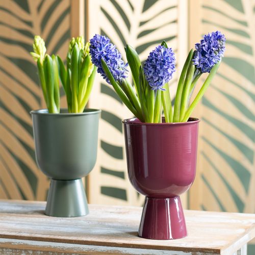 Product Flower pot, cup-shaped, modern style, decorative for any home and office, 23cm
