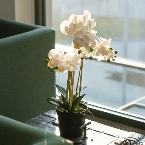 Product Artificial orchid in a pot for a harmonious ambience, white, 60cm