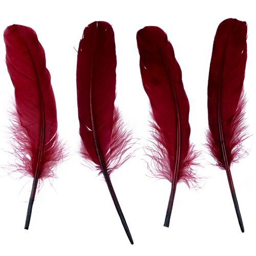 Floristik24 Decorative feathers for crafts Real bird feathers wine red 20g