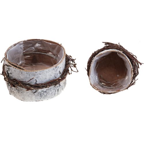 Product Planter wood birch wood birch pot white Ø11/16cm set of 2