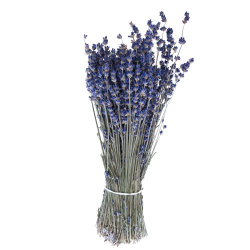 Dried Lavender Decorative Flowers 25cm 350g 5-Piece Set