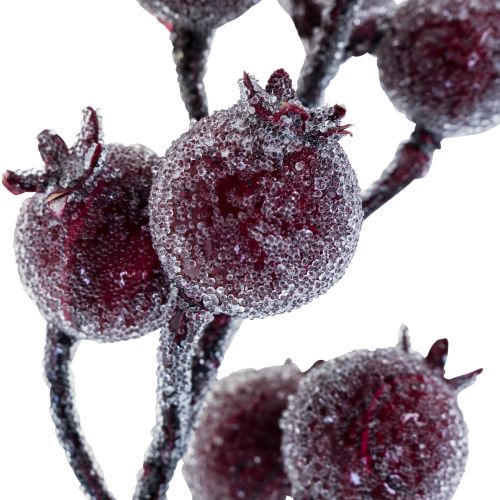 Floristik24 Rose hip branch berry branch frost artificial plant red 25cm 12pcs