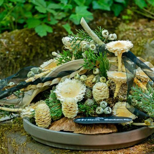 Product Susanne Rosette bleached 25 pcs