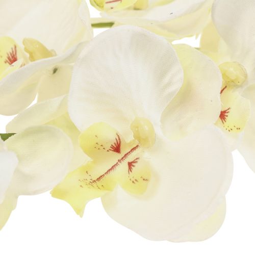 Floristik24 Phalaenopsis Artificial Orchids Artificial Flowers White 70cm