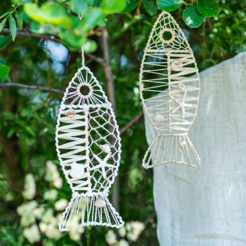 Maritime fish decoration with wickerwork and shells, decoration hanger fish shape nature 38cm | Floristik24.ie