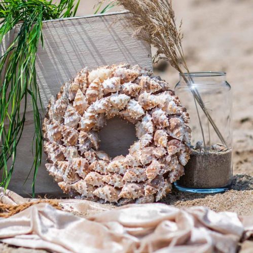 Floristik24 Deco wreath snails Maritime decoration door wreath sea snails Ø25cm