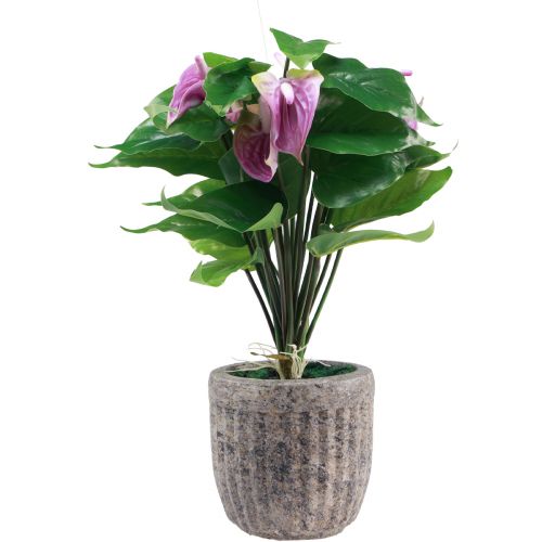 Floristik24 Artificial flowers artificial anthurium artificial plants in pot 41cm