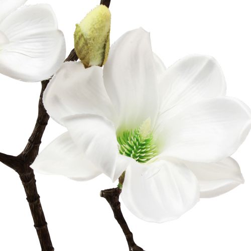 Floristik24 Artificial flower magnolia branch magnolia artificial white 58cm 3pcs