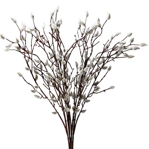 Floristik24 Artificial pussy willow catkins decoration 73cm 4 pieces