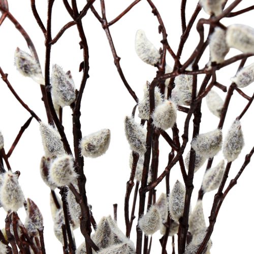 Floristik24 Artificial pussy willow catkins decoration 73cm 4 pieces