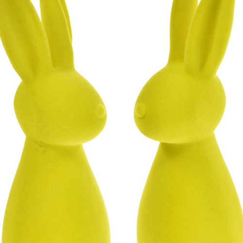 Product Flocked bunnies Easter bunnies yellow-green 8×10×29cm 2pcs