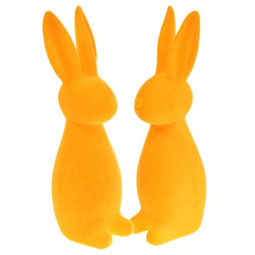 Floristik24 Easter bunnies orange flocked Easter decoration bunnies 8x10x29cm 2pcs