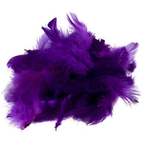 Floristik24 Decorative feathers small real bird feathers decorative purple 5-10cm 10g