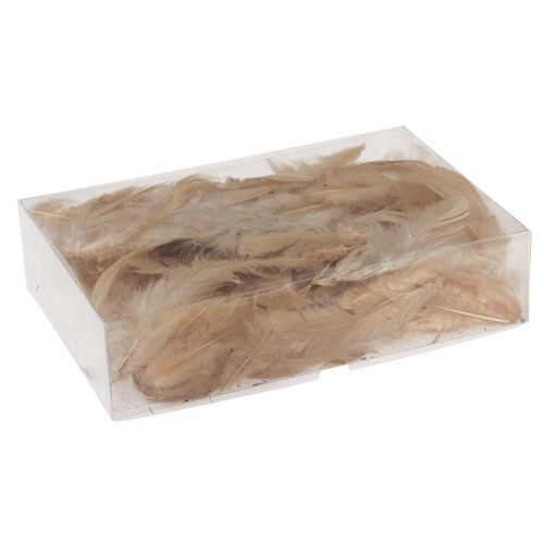 Floristik24 Decorative feathers small real bird feathers orange 5-10cm 10g