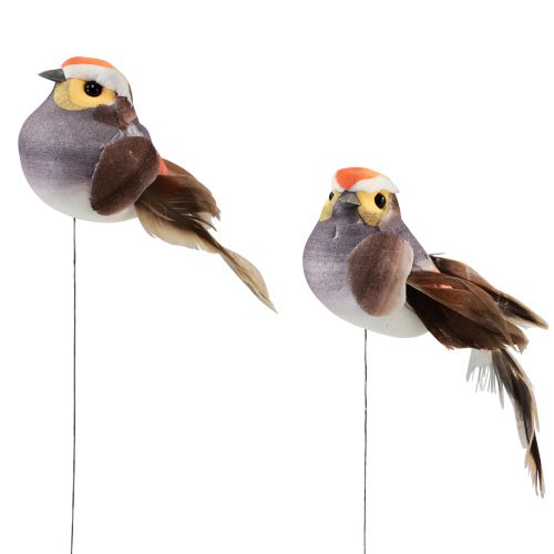 Floristik24 Feather bird on wire decorative bird with feathers gray 4cm 12pcs