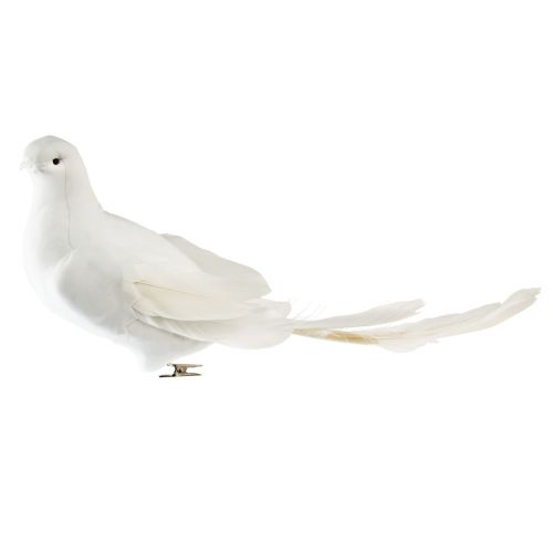 Floristik24 Wedding decoration dove white wedding doves with clip 31,5cm